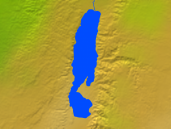 Dead Sea Vegetation 640x480